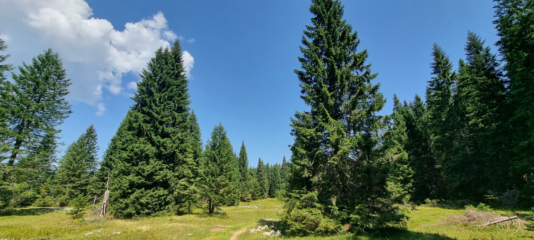 MIVAO Outdoor Experience