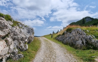MIVAO Outdoor Experience