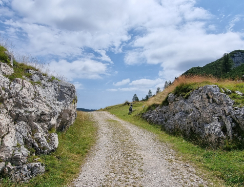 Asiago – Bivio Italia – Larici – Pusterle – Roana