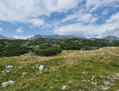 Asiago – Bivio Italia – Monte Colombara