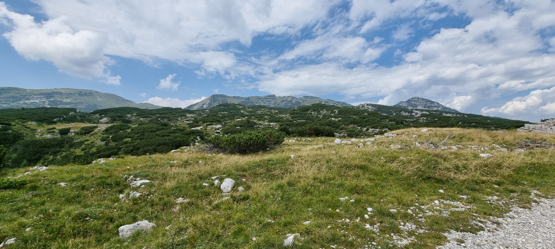MIVAO Outdoor Experience