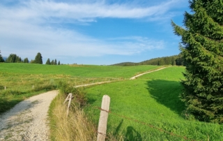MIVAO Outdoor Experience