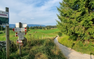 MIVAO Outdoor Experience