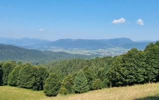 MIVAO Outdoor Experience