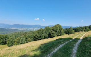 MIVAO Outdoor Experience