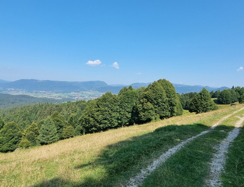 Asiago – Monte Corno – Cima Ekar