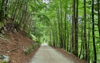 MIVAO Outdoor Experience