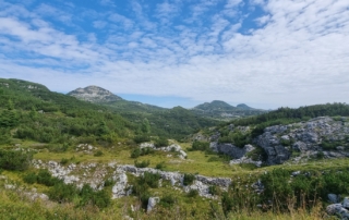 MIVAO Outdoor Experience