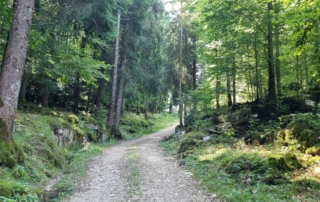 MIVAO Outdoor Experience